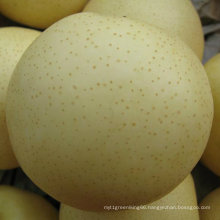 Professional Supplier for Fresh Golden Pear